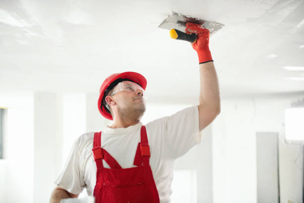 Best Industrial Mold Remediation  in USA